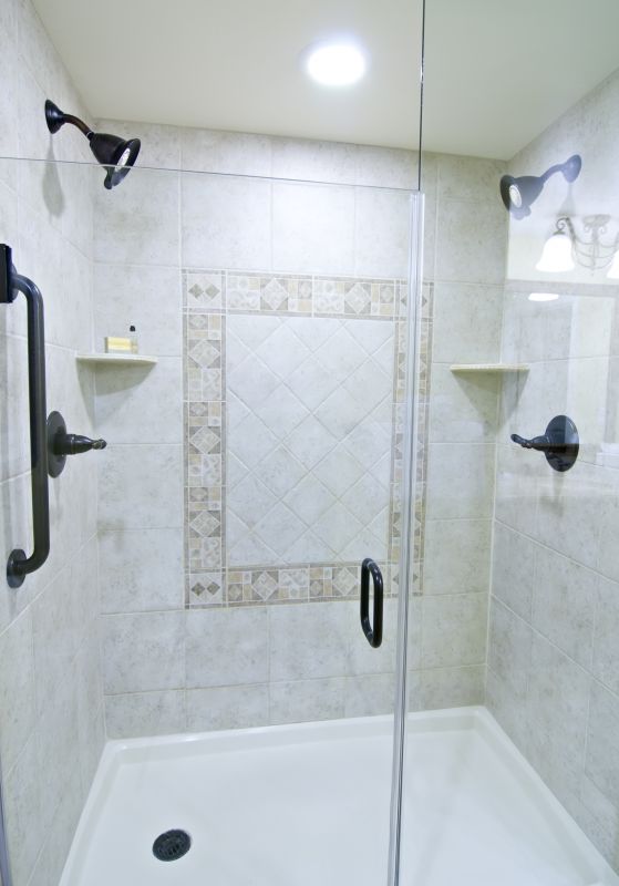 Stylish Shower Door